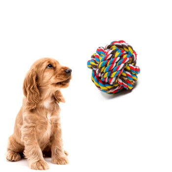 3 Brinquedo Bola Corda para Cães Cachorro e gatos