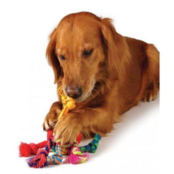 Brinquedo Pet Interativo Corda Puxar Morder Pets Cães
